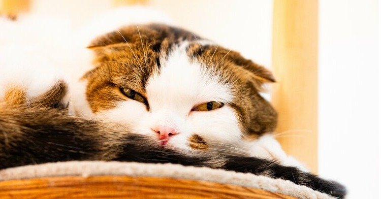 20年間「将来のために今を犠牲にする働き方」を続けた結果