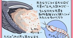 【マンガ】大きなクジラに飲み込まれそうになりながら、超高速移動で見事に回避する…この世界に「モブキャラ」なんていないことを教えてくれる「氷の世界の謎の生物」とは？