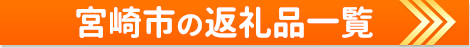 宮崎市の返礼品一覧