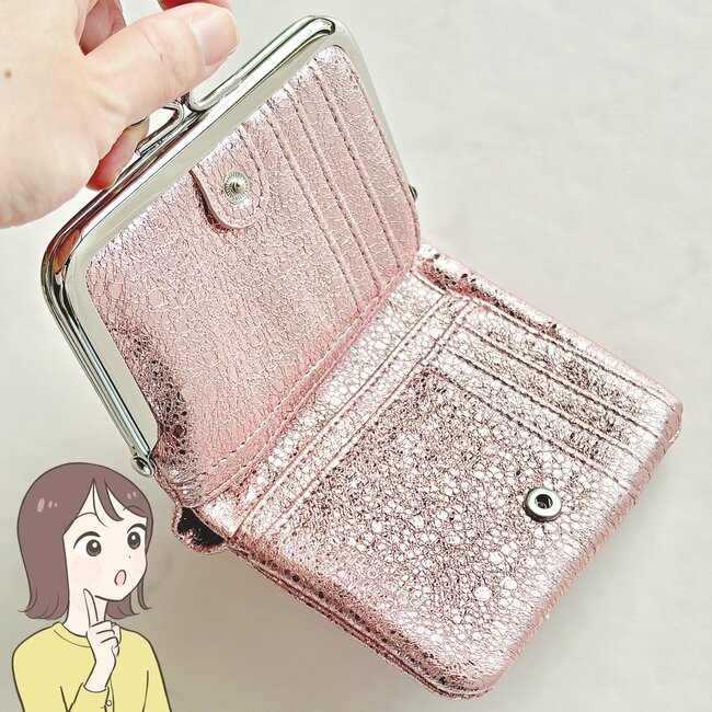 長財布から卒業できました…！ニコアンドの“ポケットたくさんミニ財布”カードが20枚入って便利！「コンパクトバッグに◎」「見た目も使いやすさも最高」