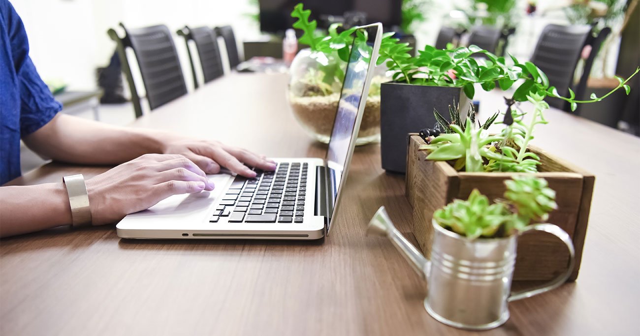 集中の超プロが「今すぐ部屋に観葉植物を置こう」とすすめるワケ