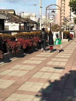 飛田新地に異変、外国人や家族連れの見物で「観光地化」が進む背景（上）