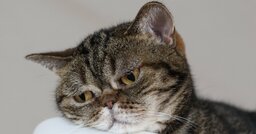 「意識高い系にあきれている人」に知っておいてほしいこと・ベスト1