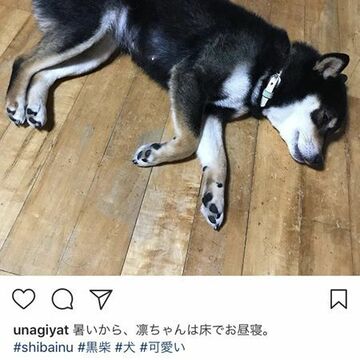 Instagramのキモ、「ハッシュタグ」を付けて投稿しよう