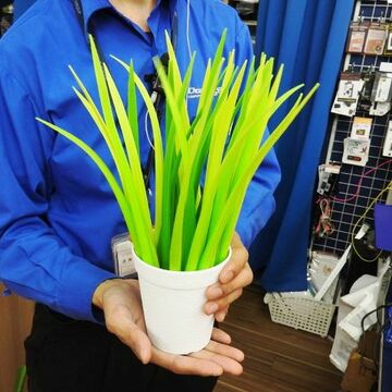 一見すると観葉植物な「デスクトップ草(ボールペン)」