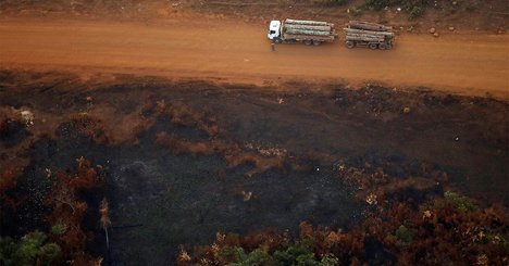 ブラジル森林破壊、食品メーカーなどサプライチェーン見直し