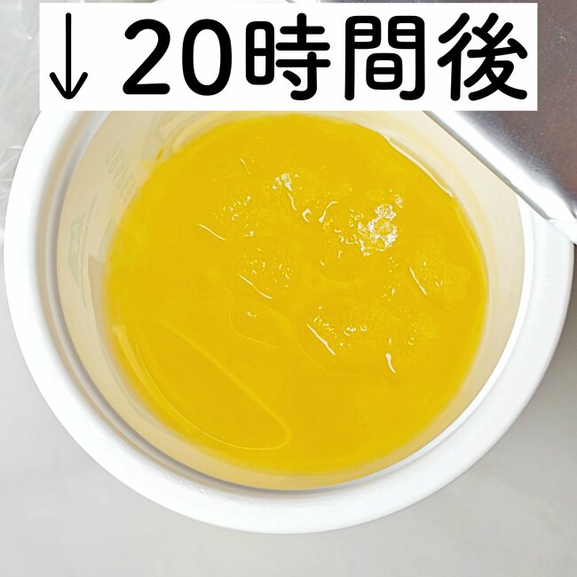 【ワークマン】アイスが6時間も溶けない“天才保冷アイテム”まるで冷蔵庫を持ち歩いているみたい!「暑い日でも1日中身が冷たいまま」「余裕で半日はカチカチです」「お茶も夜まで冷たかった」《購入レビュー》