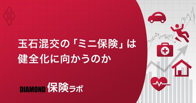 急拡大する少額短期保険業界