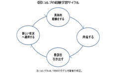 ビジネスパーソンが成長するにはなぜ経験から学ぶ力が必要になるのか？神戸大学大学院経営学研究科教授　松尾 睦