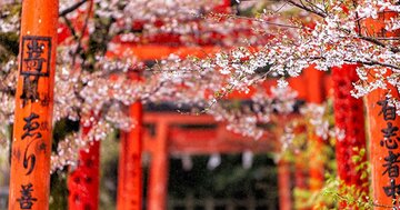 京都の神社で「春限定」御朱印ゲット!ビジネス成功&試験合格のご利益も