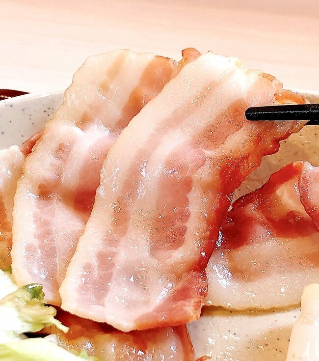 「コスパ最強ですよ」「やっぱりこれが一番好き」すき家の“570円モーニング”おかずたっぷりでボリューム満点!「こういうのでいいんですよ」