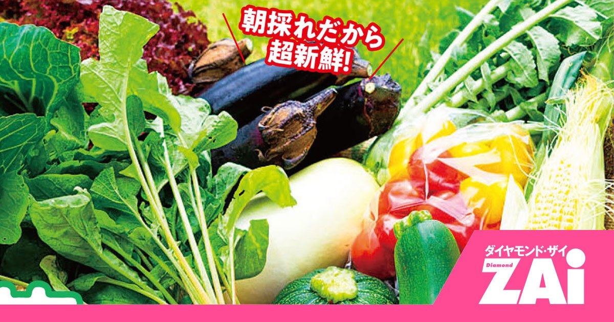 【ふるさと納税】「天然本マグロも!」5000円以下でもらえる“本気のおすすめ返礼品”3選 - ホットニュース from ZAi