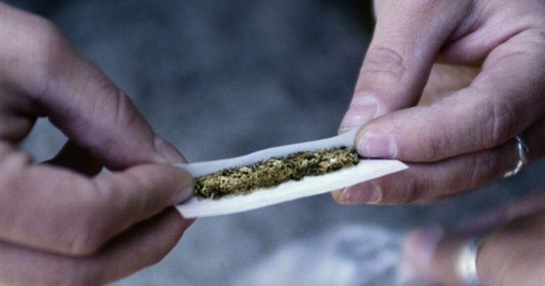 大麻相談が増加