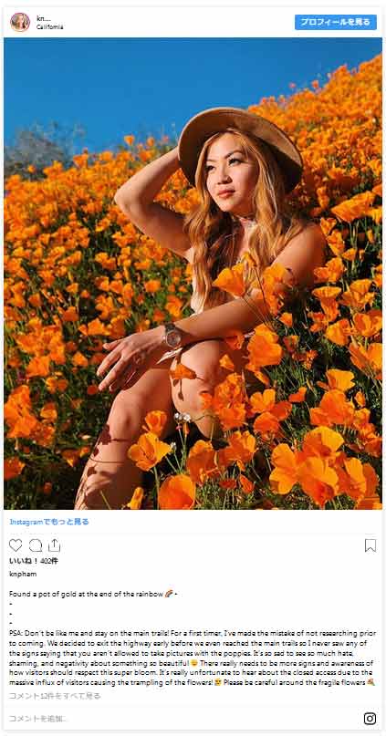 インスタ写真1