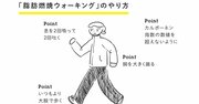 【3か月で自然に痩せる！】最も脂肪が燃焼しやすいウォーキングの速さは？