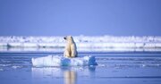 【氷が溶ければ、国が儲かる？】地球温暖化で動き出す“北極海利権”の真相