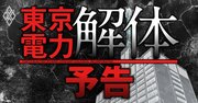 東京電力「解体」へ、電力の王者の事業売却“大セール”で業界大再編が始まる