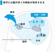 なぜその文章は伝わらない？～聴いてわからないなら読んでもわからない！