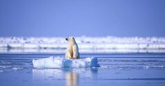 【氷が溶ければ、国が儲かる?】地球温暖化で動き出す“北極海利権”の真相