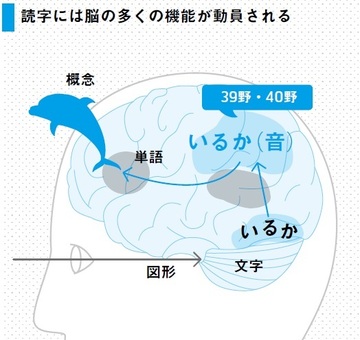 なぜその文章は伝わらない？～聴いてわからないなら読んでもわからない！