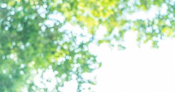 【3月7日はサウナの日】アドレナリンと副交感神経が交差する奇跡の瞬間!「ととのう」の科学的真実