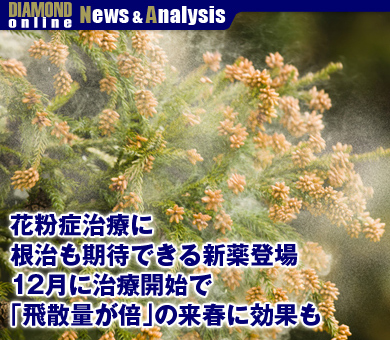 花粉症治療に根治も期待できる新薬登場 12月に治療開始で「飛散量が倍」の来春に効果も
