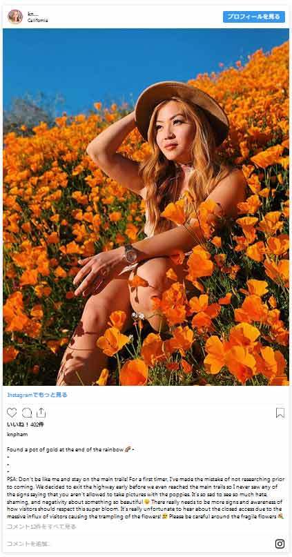 インスタ写真1