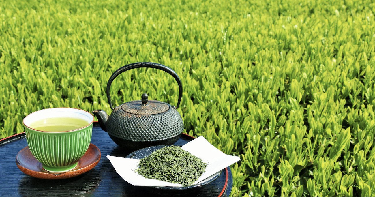 日本茶ブレンダー「茶葉設計技師」にペットボトル緑茶の経験が重要な理由 - News&Analysis
