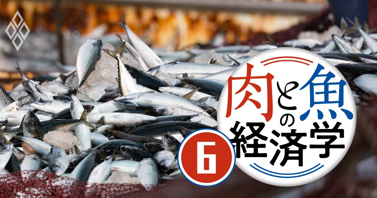 世界の漁獲量が過去最高を記録する一方、日本は20年で4割減の深刻理由