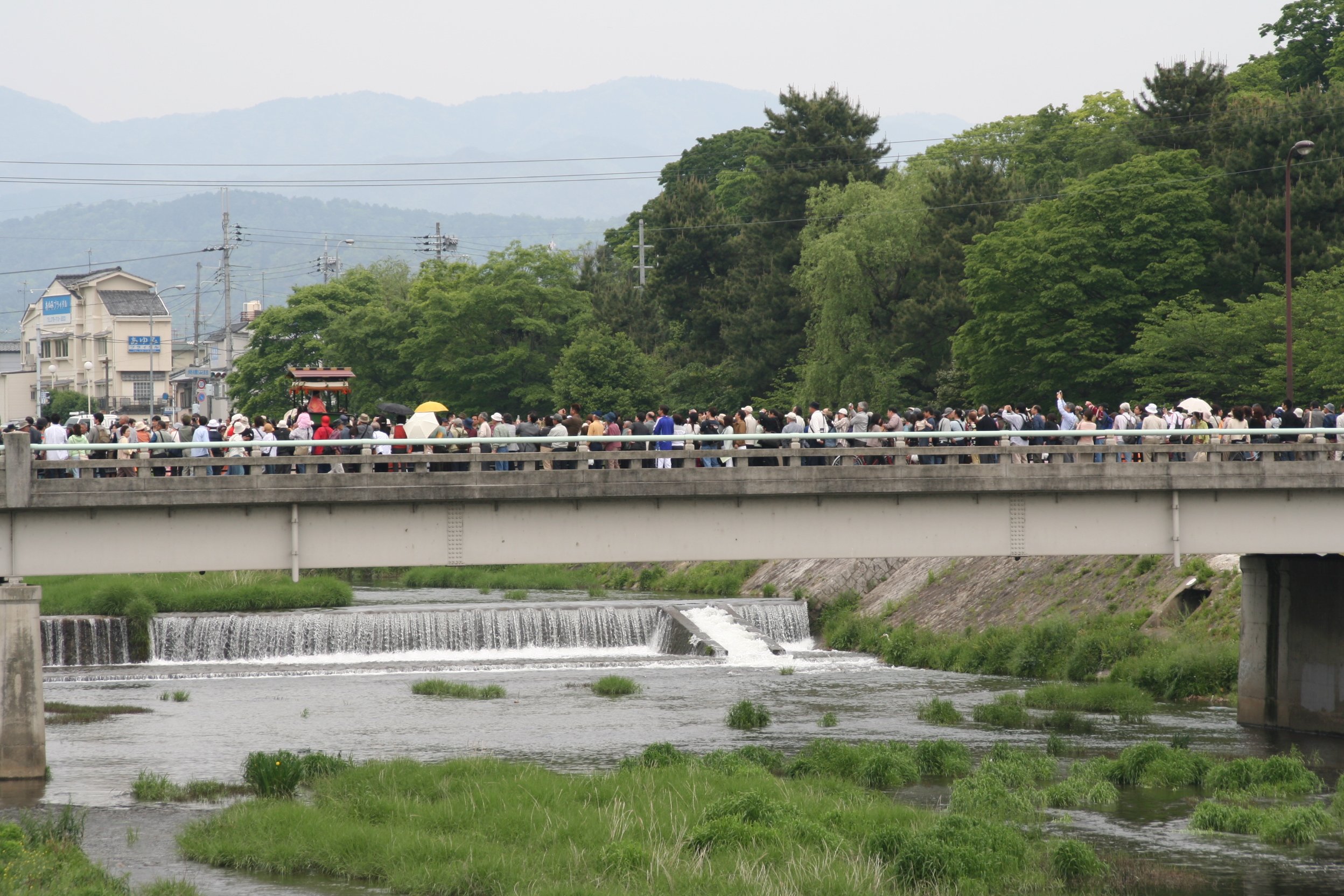 出町橋を渡る「路頭の儀」の一行