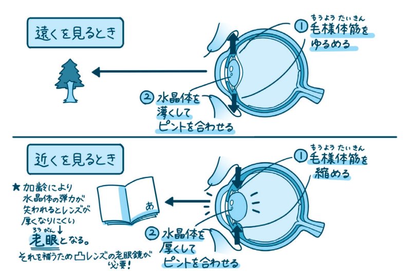 【ハーバード×スタンフォードの名医が教える】<br />誰にでも訪れる「小さい文字が見えにくくなった」という症状の正体とは?