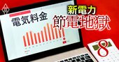 節電ポイント還元ランキング！大手ガス系の新電力が高還元率で大手電力に逆襲