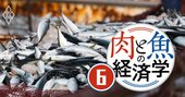 世界の漁獲量が過去最高を記録する一方、日本は20年で4割減の深刻理由