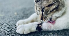 「過去は自分の力で変えられる」と作家は言う。