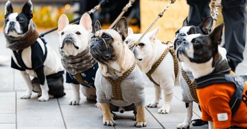 「SNSで疲れる人」が無意識にやっていること・ワースト1