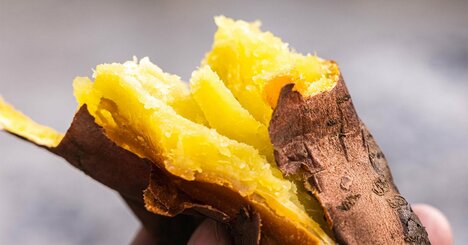 サツマイモ専門店が急増、200年前から繰り返す「焼き芋ブーム」は今ピーク？