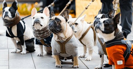 「SNSで疲れる人」が無意識にやっていること・ワースト1