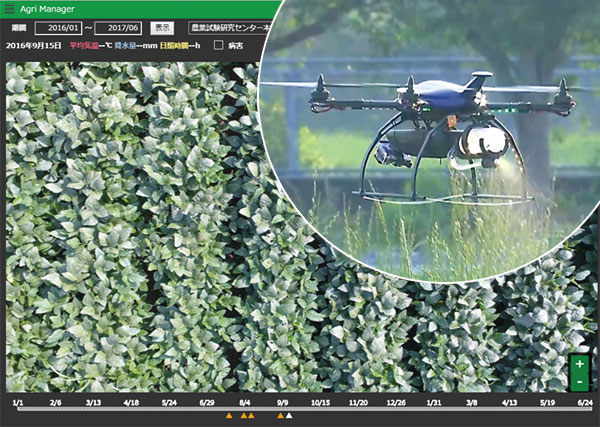 虫食いの葉を探すオプティムの映像解析技術
