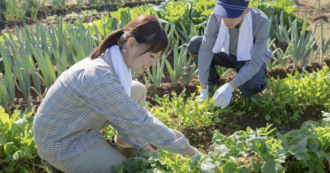 写真:農業をする男女