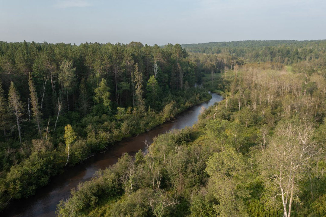 伐採せずに「金のなる木」 CO2吸収のドル箱事業