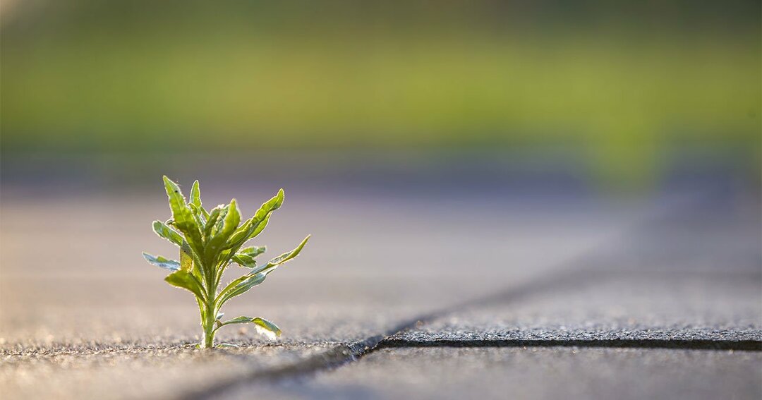 スタートアップ経営者は否定され続けても折れない「芯の強さ」を持てるか?