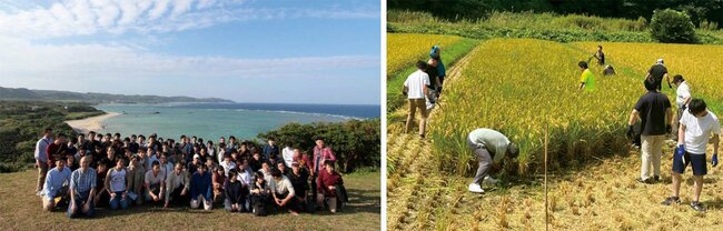 ITの力で社会と人をつなぐ。働く人の“ライフ”に寄り添う企業文化