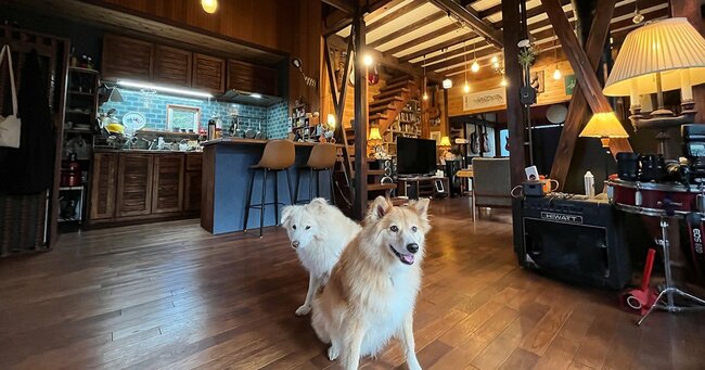 家の中にいる愛犬2匹