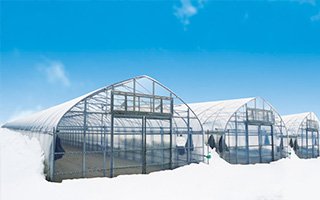 安定した、持続可能な農業経営のため、「グリーンハウス」は進化する