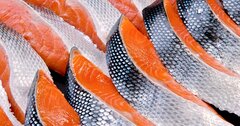 ゴミだった「魚の皮」が高級製品に、フィッシュレザーが注目される理由