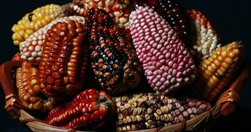 【ビジネスマンの食の教養】王道フレンチはもう古い?世界の食のトレンドが向かう先は?