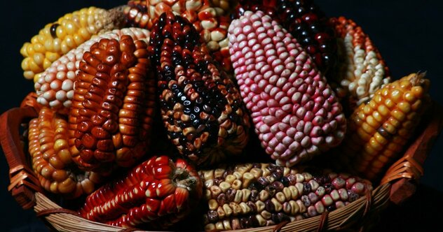 【ビジネスマンの食の教養】王道フレンチはもう古い？世界の食のトレンドが向かう先は？