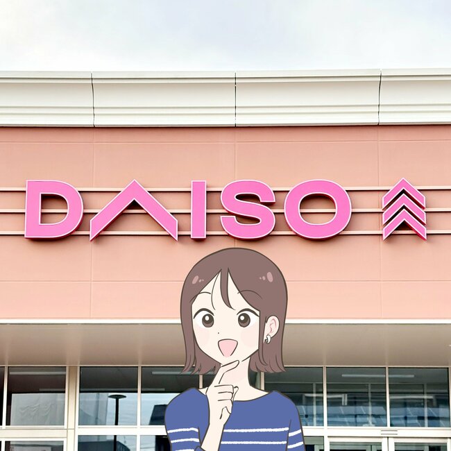【ダイソー】カードや診察券が40枚も入った!ガバッと開く「ぺたんこ財布」スムーズに会計できて便利《購入レビュー》