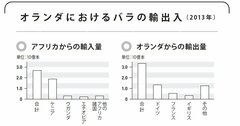 「アフリカのバラがオランダに集まる理由」気候と経済をつなげて考える