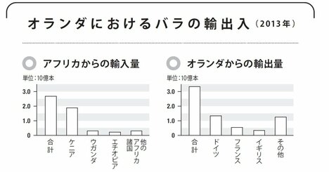 「アフリカのバラがオランダに集まる理由」気候と経済をつなげて考える